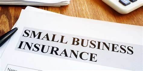 Small Business Insurance 2024/2025